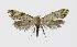  ( - NHMO-DAR-10330)  @13 [ ] CreativeCommons - Attribution Non-Commercial Share-Alike (2016) Unspecified University of Oslo, Natural History Museum