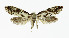  ( - NHMO-DAR-10336)  @14 [ ] CreativeCommons - Attribution Non-Commercial Share-Alike (2016) Unspecified University of Oslo, Natural History Museum