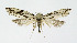  ( - NHMO-DAR-10337)  @14 [ ] CreativeCommons - Attribution Non-Commercial Share-Alike (2016) Unspecified University of Oslo, Natural History Museum