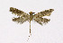  ( - NHMO-DAR-10338)  @13 [ ] CreativeCommons - Attribution Non-Commercial Share-Alike (2016) Unspecified University of Oslo, Natural History Museum