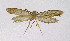  ( - NHMO-DAR-10345)  @13 [ ] CreativeCommons - Attribution Non-Commercial Share-Alike (2016) Unspecified University of Oslo, Natural History Museum