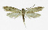  ( - NHMO-DAR-10346)  @13 [ ] CreativeCommons - Attribution Non-Commercial Share-Alike (2016) Unspecified University of Oslo, Natural History Museum
