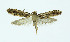  ( - NHMO-DAR-10352)  @13 [ ] CreativeCommons - Attribution Non-Commercial Share-Alike (2016) Unspecified University of Oslo, Natural History Museum