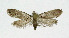  ( - NHMO-DAR-10355)  @11 [ ] CreativeCommons - Attribution Non-Commercial Share-Alike (2016) Unspecified University of Oslo, Natural History Museum