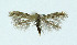  ( - NHMO-DAR-10378)  @13 [ ] CreativeCommons - Attribution Non-Commercial Share-Alike (2016) Unspecified University of Oslo, Natural History Museum