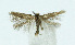  ( - NHMO-DAR-10379)  @11 [ ] CreativeCommons - Attribution Non-Commercial Share-Alike (2016) Unspecified University of Oslo, Natural History Museum