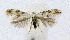  ( - NHMO-DAR-10384)  @14 [ ] CreativeCommons - Attribution Non-Commercial Share-Alike (2016) Unspecified University of Oslo, Natural History Museum