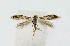  ( - NHMO-DAR-10389)  @13 [ ] CreativeCommons - Attribution Non-Commercial Share-Alike (2016) Unspecified University of Oslo, Natural History Museum