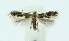  ( - NHMO-DAR-10391)  @13 [ ] CreativeCommons - Attribution Non-Commercial Share-Alike (2016) Unspecified University of Oslo, Natural History Museum