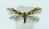  ( - NHMO-DAR-10392)  @13 [ ] CreativeCommons - Attribution Non-Commercial Share-Alike (2016) Unspecified University of Oslo, Natural History Museum
