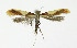  ( - NHMO-DAR-10405)  @14 [ ] CreativeCommons - Attribution Non-Commercial Share-Alike (2016) Unspecified University of Oslo, Natural History Museum