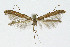  ( - NHMO-DAR-10414)  @14 [ ] CreativeCommons - Attribution Non-Commercial Share-Alike (2016) Unspecified University of Oslo, Natural History Museum