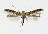  ( - NHMO-DAR-10415)  @11 [ ] CreativeCommons - Attribution Non-Commercial Share-Alike (2016) Unspecified University of Oslo, Natural History Museum