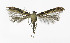  ( - NHMO-DAR-10416)  @11 [ ] CreativeCommons - Attribution Non-Commercial Share-Alike (2016) Unspecified University of Oslo, Natural History Museum