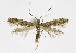  ( - NHMO-DAR-10434)  @13 [ ] CreativeCommons - Attribution Non-Commercial Share-Alike (2016) Unspecified University of Oslo, Natural History Museum