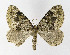  ( - NHMO-DAR-10481)  @13 [ ] CreativeCommons - Attribution Non-Commercial Share-Alike (2016) Unspecified University of Oslo, Natural History Museum