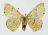  ( - NHMO-DAR-10536)  @11 [ ] CreativeCommons - Attribution Non-Commercial Share-Alike (2016) Unspecified University of Oslo, Natural History Museum