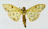  ( - NHMO-DAR-10558)  @13 [ ] CreativeCommons - Attribution Non-Commercial Share-Alike (2016) Unspecified University of Oslo, Natural History Museum