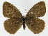  ( - NHMO-DAR-10600)  @14 [ ] CreativeCommons - Attribution Non-Commercial Share-Alike (2016) Unspecified University of Oslo, Natural History Museum