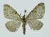 ( - NHMO-DAR-10687)  @13 [ ] CreativeCommons - Attribution Non-Commercial Share-Alike (2016) Unspecified University of Oslo, Natural History Museum