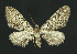  ( - NHMO-DAR-10745)  @14 [ ] CreativeCommons - Attribution Non-Commercial Share-Alike (2016) Unspecified University of Oslo, Natural History Museum