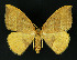  ( - NHMO-DAR-10789)  @14 [ ] CreativeCommons - Attribution Non-Commercial Share-Alike (2016) Unspecified University of Oslo, Natural History Museum