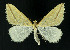 ( - NHMO-DAR-10808)  @14 [ ] CreativeCommons - Attribution Non-Commercial Share-Alike (2016) Unspecified University of Oslo, Natural History Museum
