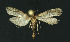  ( - NHMO-DAR-10821)  @13 [ ] CreativeCommons - Attribution Non-Commercial Share-Alike (2016) Unspecified University of Oslo, Natural History Museum