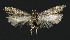  ( - NHMO-DAR-10826)  @13 [ ] CreativeCommons - Attribution Non-Commercial Share-Alike (2016) Unspecified University of Oslo, Natural History Museum