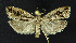  ( - NHMO-DAR-10827)  @13 [ ] CreativeCommons - Attribution Non-Commercial Share-Alike (2016) Unspecified University of Oslo, Natural History Museum