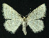  ( - NHMO-DAR-10836)  @14 [ ] CreativeCommons - Attribution Non-Commercial Share-Alike (2016) Unspecified University of Oslo, Natural History Museum