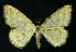  ( - NHMO-DAR-10837)  @14 [ ] CreativeCommons - Attribution Non-Commercial Share-Alike (2016) Unspecified University of Oslo, Natural History Museum