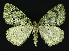  ( - NHMO-DAR-10953)  @14 [ ] CreativeCommons - Attribution Non-Commercial Share-Alike (2016) Unspecified University of Oslo, Natural History Museum