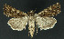  ( - NHMO-DAR-11015)  @13 [ ] CreativeCommons - Attribution Non-Commercial Share-Alike (2016) Unspecified University of Oslo, Natural History Museum