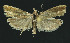  ( - NHMO-DAR-11065)  @11 [ ] CreativeCommons - Attribution Non-Commercial Share-Alike (2016) Unspecified University of Oslo, Natural History Museum