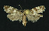  ( - NHMO-DAR-11086)  @11 [ ] CreativeCommons - Attribution Non-Commercial Share-Alike (2016) Unspecified University of Oslo, Natural History Museum