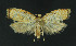  ( - NHMO-DAR-11111)  @13 [ ] CreativeCommons - Attribution Non-Commercial Share-Alike (2016) Unspecified University of Oslo, Natural History Museum