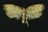  ( - NHMO-DAR-11112)  @13 [ ] CreativeCommons - Attribution Non-Commercial Share-Alike (2016) Unspecified University of Oslo, Natural History Museum