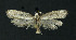  ( - NHMO-DAR-11203)  @13 [ ] CreativeCommons - Attribution Non-Commercial Share-Alike (2016) Unspecified University of Oslo, Natural History Museum