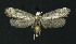  ( - NHMO-DAR-11213)  @13 [ ] CreativeCommons - Attribution Non-Commercial Share-Alike (2016) Unspecified University of Oslo, Natural History Museum