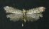  ( - NHMO-DAR-11215)  @13 [ ] CreativeCommons - Attribution Non-Commercial Share-Alike (2016) Unspecified University of Oslo, Natural History Museum