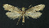  ( - NHMO-DAR-11225)  @14 [ ] CreativeCommons - Attribution Non-Commercial Share-Alike (2016) Unspecified University of Oslo, Natural History Museum