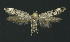  ( - NHMO-DAR-11228)  @13 [ ] CreativeCommons - Attribution Non-Commercial Share-Alike (2016) Unspecified University of Oslo, Natural History Museum
