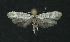  ( - NHMO-DAR-11229)  @13 [ ] CreativeCommons - Attribution Non-Commercial Share-Alike (2016) Unspecified University of Oslo, Natural History Museum