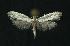  ( - NHMO-DAR-11231)  @13 [ ] CreativeCommons - Attribution Non-Commercial Share-Alike (2016) Unspecified University of Oslo, Natural History Museum