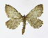  ( - NHMO-DAR-11294)  @14 [ ] CreativeCommons - Attribution Non-Commercial Share-Alike (2016) Unspecified University of Oslo, Natural History Museum