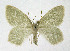  ( - NHMO-DAR-11363)  @13 [ ] CreativeCommons - Attribution Non-Commercial Share-Alike (2016) Unspecified University of Oslo, Natural History Museum