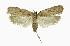  ( - NHMO-DAR-11764)  @13 [ ] CreativeCommons - Attribution Non-Commercial Share-Alike (2017) Unspecified University of Oslo, Natural History Museum