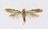  ( - NHMO-DAR-11808)  @13 [ ] CreativeCommons - Attribution Non-Commercial Share-Alike (2017) Unspecified University of Oslo, Natural History Museum