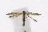  ( - NHMO-DAR-11821)  @13 [ ] CreativeCommons - Attribution Non-Commercial Share-Alike (2017) Unspecified University of Oslo, Natural History Museum